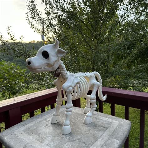 halloween origin of evil is the highlight of halloween home decoration. . Skeleton cow decoration tractor supply